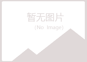 昌吉迎夏采矿有限公司